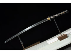 Ryujin Customized 1095/T10 High Carbon Steel Katana