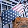 Image of 3PC American Flag Fixed CLEAVER + SHAVER STYLE CLEAVER + FLIP Pocket CLEAVER